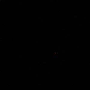 Meet your Posher, Brady